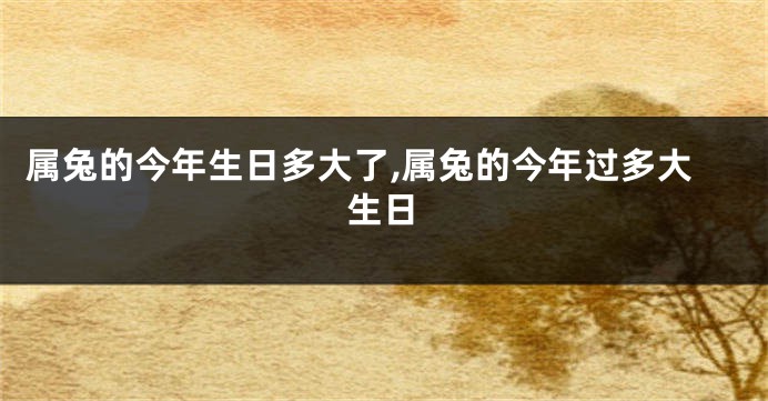 属兔的今年生日多大了,属兔的今年过多大生日