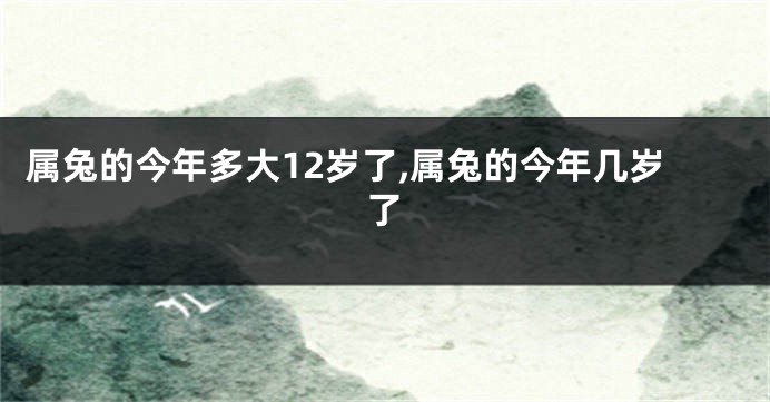 属兔的今年多大12岁了,属兔的今年几岁了