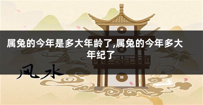 属兔的今年是多大年龄了,属兔的今年多大年纪了
