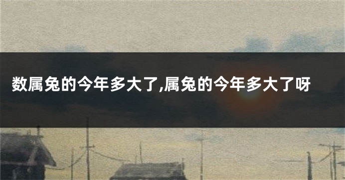 数属兔的今年多大了,属兔的今年多大了呀