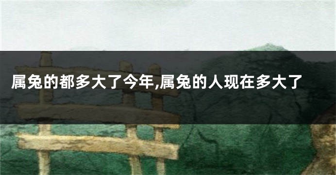 属兔的都多大了今年,属兔的人现在多大了