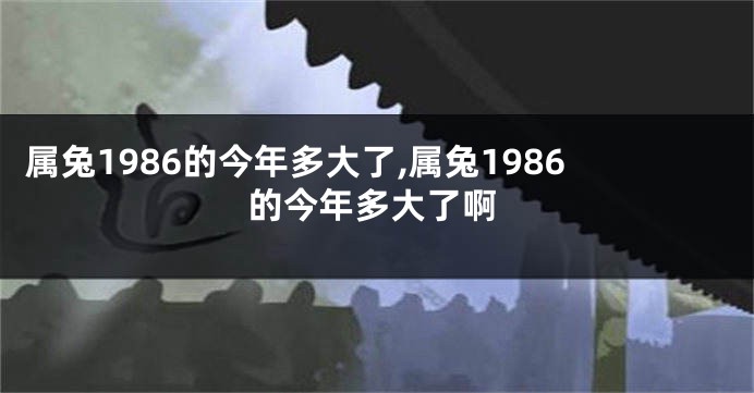 属兔1986的今年多大了,属兔1986的今年多大了啊