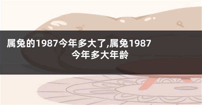 属兔的1987今年多大了,属兔1987今年多大年龄