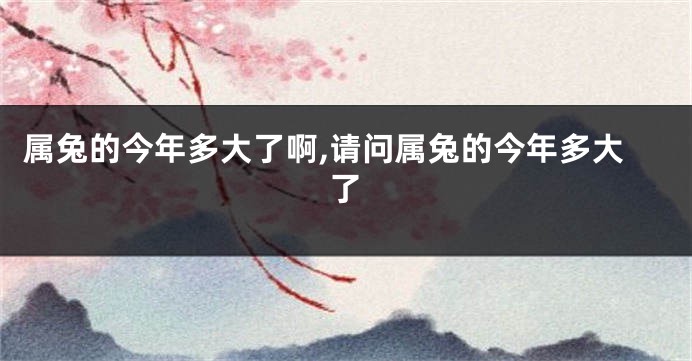 属兔的今年多大了啊,请问属兔的今年多大了