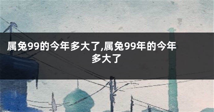 属兔99的今年多大了,属兔99年的今年多大了