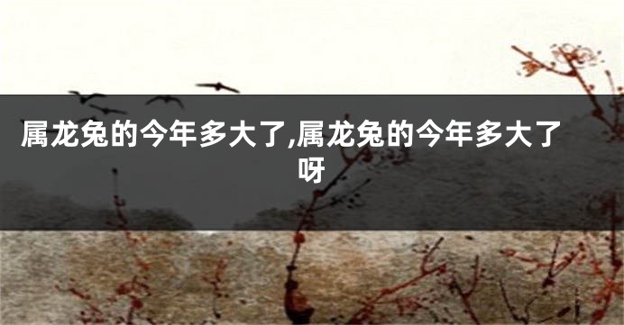 属龙兔的今年多大了,属龙兔的今年多大了呀