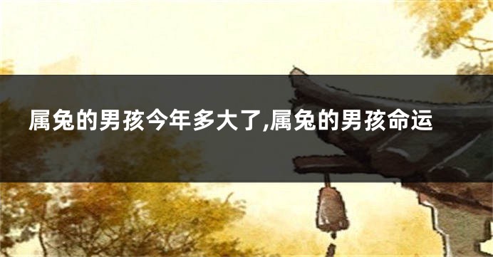 属兔的男孩今年多大了,属兔的男孩命运