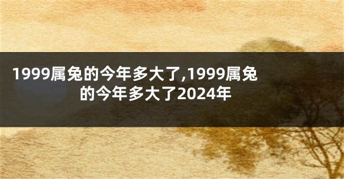 1999属兔的今年多大了,1999属兔的今年多大了2024年