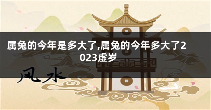 属兔的今年是多大了,属兔的今年多大了2023虚岁