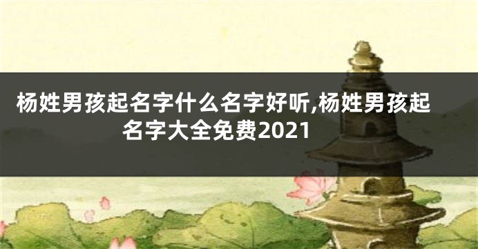 杨姓男孩起名字什么名字好听,杨姓男孩起名字大全免费2021