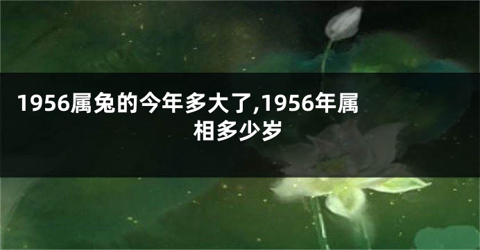 1956属兔的今年多大了,1956年属相多少岁