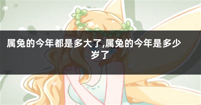 属兔的今年都是多大了,属兔的今年是多少岁了