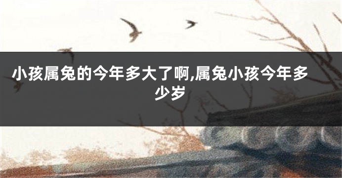 小孩属兔的今年多大了啊,属兔小孩今年多少岁