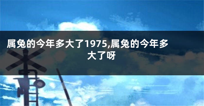 属兔的今年多大了1975,属兔的今年多大了呀