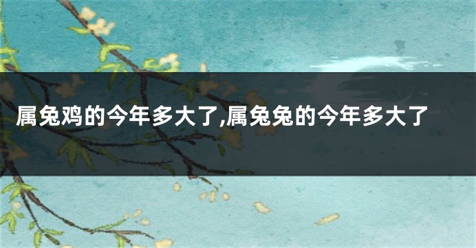 属兔鸡的今年多大了,属兔兔的今年多大了