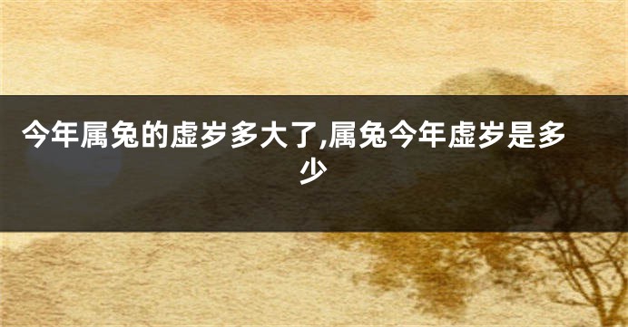 今年属兔的虚岁多大了,属兔今年虚岁是多少