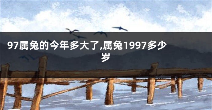97属兔的今年多大了,属兔1997多少岁