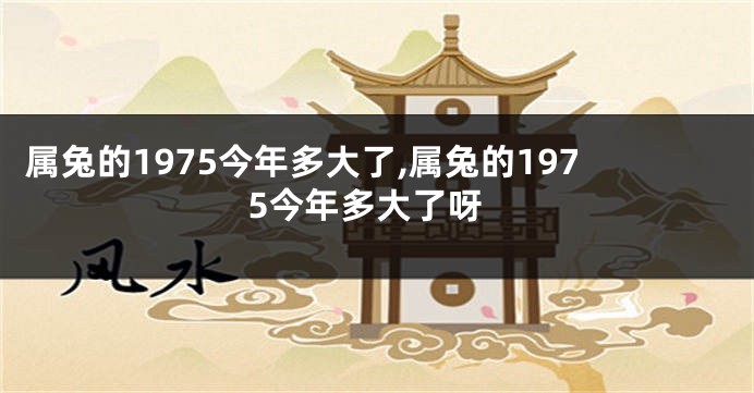 属兔的1975今年多大了,属兔的1975今年多大了呀