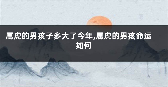 属虎的男孩子多大了今年,属虎的男孩命运如何