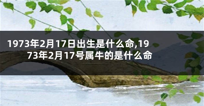 1973年2月17日出生是什么命,1973年2月17号属牛的是什么命
