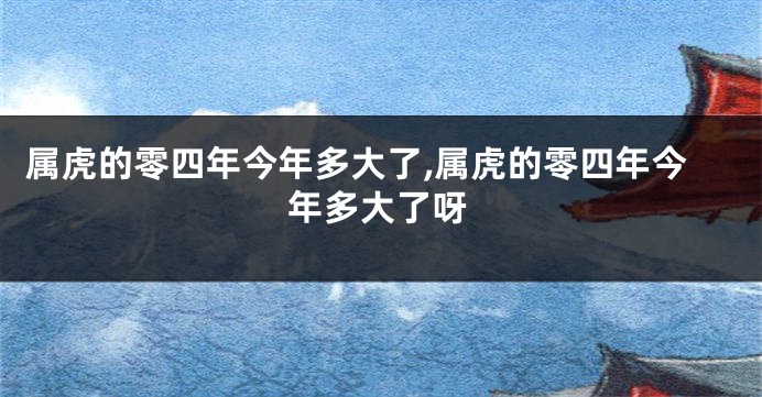 属虎的零四年今年多大了,属虎的零四年今年多大了呀