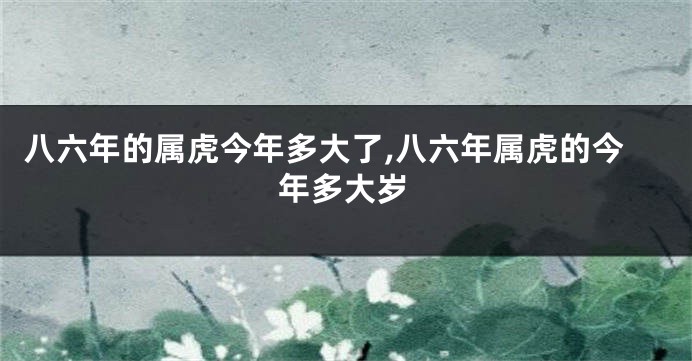 八六年的属虎今年多大了,八六年属虎的今年多大岁