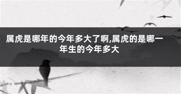 属虎是哪年的今年多大了啊,属虎的是哪一年生的今年多大