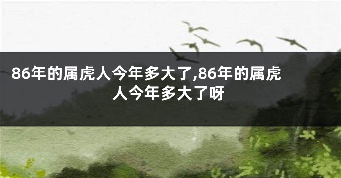 86年的属虎人今年多大了,86年的属虎人今年多大了呀