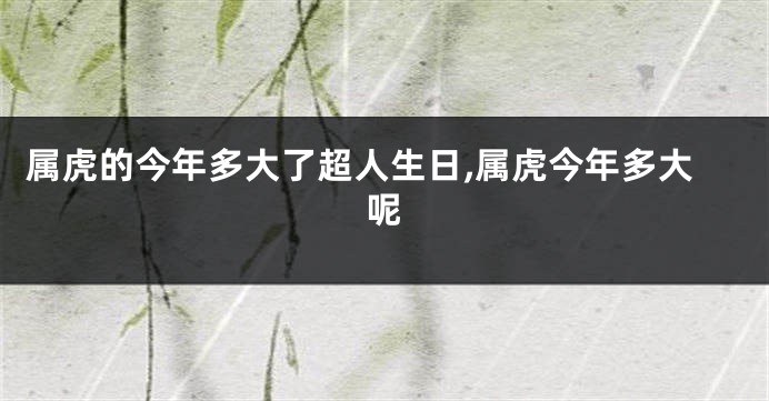 属虎的今年多大了超人生日,属虎今年多大呢