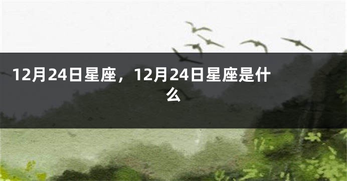 12月24日星座，12月24日星座是什么