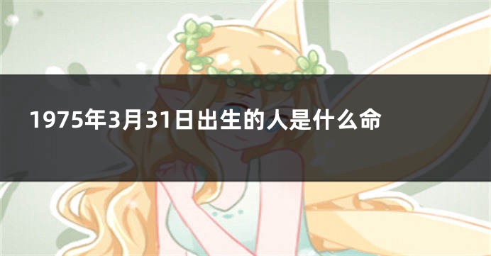 1975年3月31日出生的人是什么命