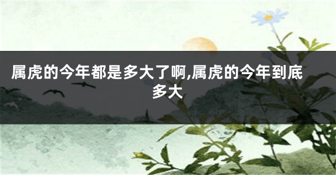 属虎的今年都是多大了啊,属虎的今年到底多大