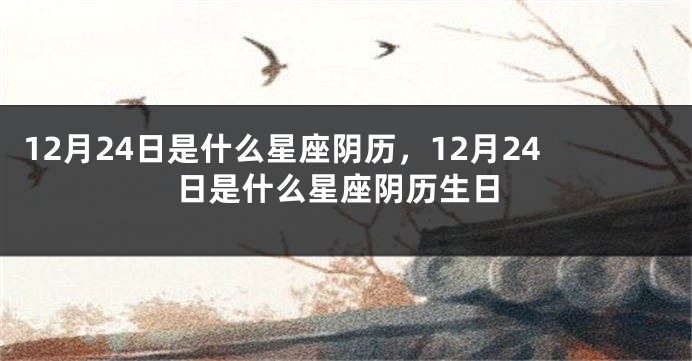 12月24日是什么星座阴历，12月24日是什么星座阴历生日