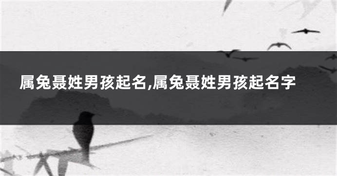 属兔聂姓男孩起名,属兔聂姓男孩起名字
