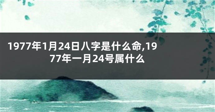 1977年1月24日八字是什么命,1977年一月24号属什么