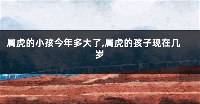 属虎的小孩今年多大了,属虎的孩子现在几岁