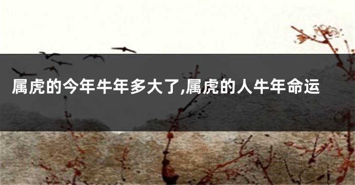 属虎的今年牛年多大了,属虎的人牛年命运