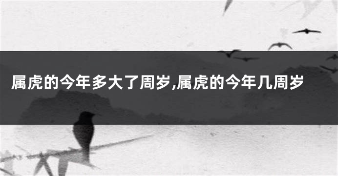 属虎的今年多大了周岁,属虎的今年几周岁
