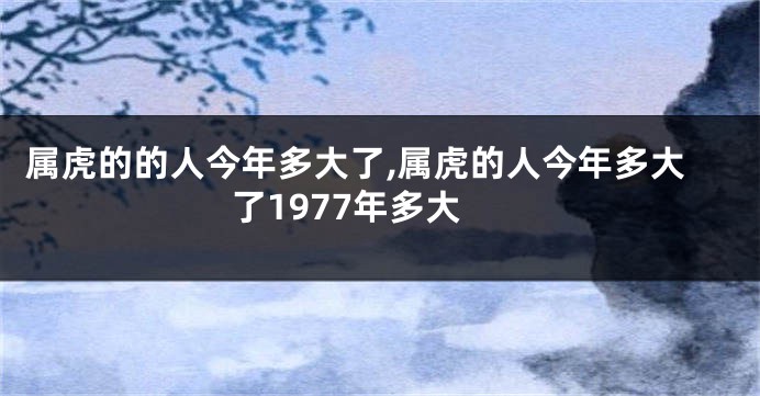 属虎的的人今年多大了,属虎的人今年多大了1977年多大