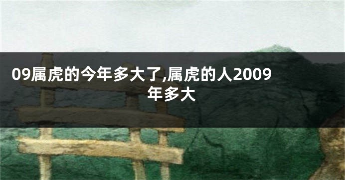 09属虎的今年多大了,属虎的人2009年多大