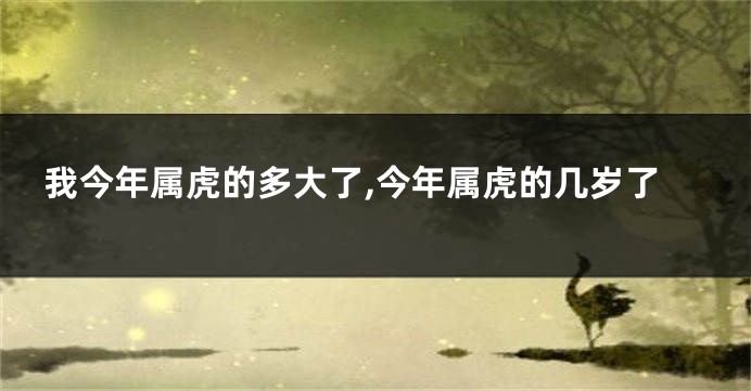 我今年属虎的多大了,今年属虎的几岁了