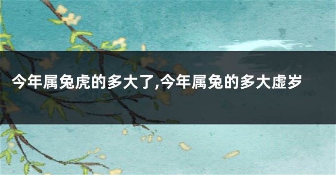 今年属兔虎的多大了,今年属兔的多大虚岁