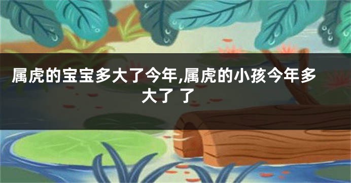 属虎的宝宝多大了今年,属虎的小孩今年多大了 了