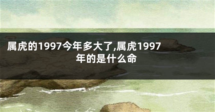 属虎的1997今年多大了,属虎1997年的是什么命