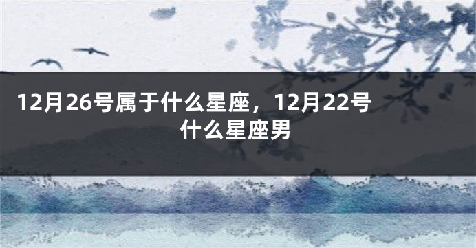 12月26号属于什么星座，12月22号什么星座男