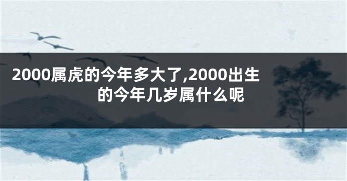 2000属虎的今年多大了,2000出生的今年几岁属什么呢