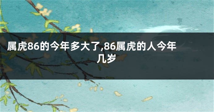 属虎86的今年多大了,86属虎的人今年几岁