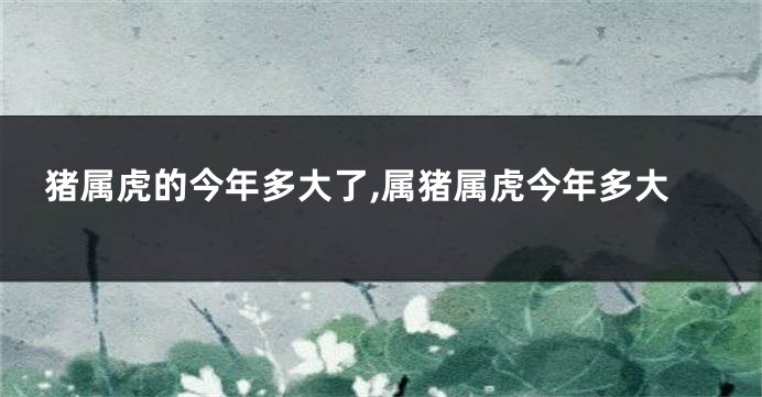 猪属虎的今年多大了,属猪属虎今年多大