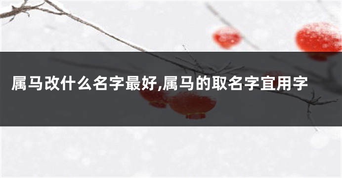 属马改什么名字最好,属马的取名字宜用字