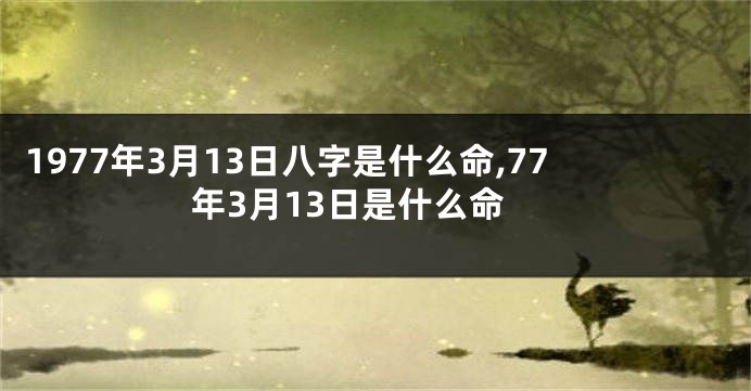 1977年3月13日八字是什么命,77年3月13日是什么命